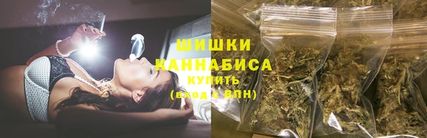 прущие грибы Абинск