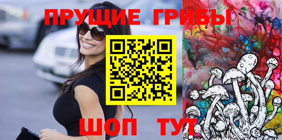 Шали  Галлюциногенные грибы Psilocybe  Вход с VPN 