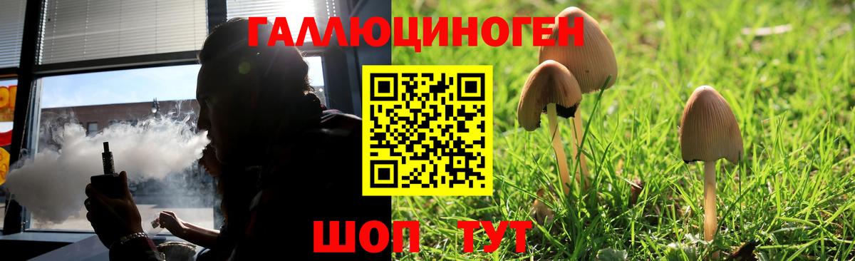Галлюциногенные грибы мухоморы Шали